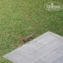 фото из отзыва ID 2677262