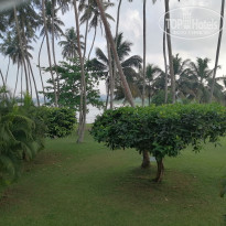 фото из отзыва ID 2677262