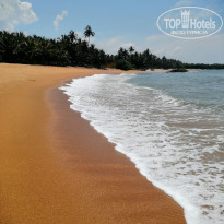 фото из отзыва ID 2677262