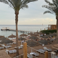 фото из отзыва ID 2677266