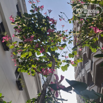 фото из отзыва ID 2677323