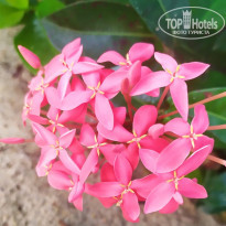 фото из отзыва ID 2677319