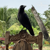 фото из отзыва ID 2677343