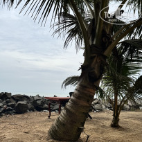 фото из отзыва ID 2677343