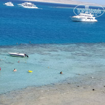 фото из отзыва ID 2677458