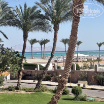 фото из отзыва ID 2677459