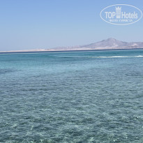 фото из отзыва ID 2677459