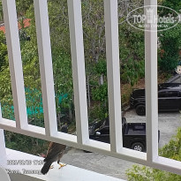 фото из отзыва ID 2677468