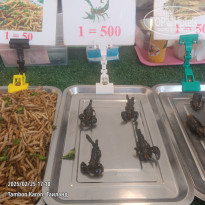 фото из отзыва ID 2677468