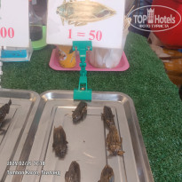 фото из отзыва ID 2677468