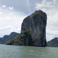 фото из отзыва ID 2677468