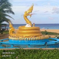 фото из отзыва ID 2677468