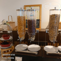 фото из отзыва ID 2677468