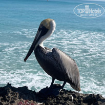 фото из отзыва ID 2677493