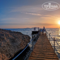 фото из отзыва ID 2677499