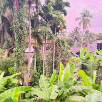 фото из отзыва ID 2677507