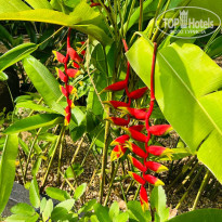 фото из отзыва ID 2677507