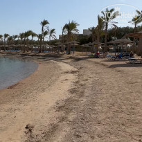 фото из отзыва ID 2677544