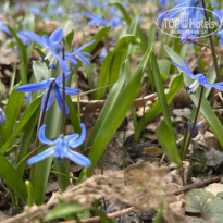 фото из отзыва ID 2677565