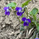фото из отзыва ID 2677565