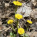 фото из отзыва ID 2677565