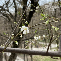 фото из отзыва ID 2677565