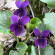 фото из отзыва ID 2677565