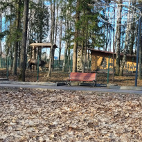 фото из отзыва ID 2677580