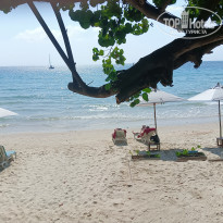 фото из отзыва ID 2677683