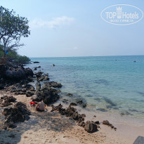 фото из отзыва ID 2677683