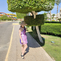 фото из отзыва ID 2677684