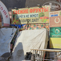 фото из отзыва ID 2677684