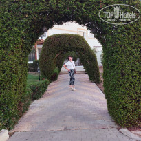 фото из отзыва ID 2677629