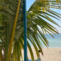 фото из отзыва ID 2677797