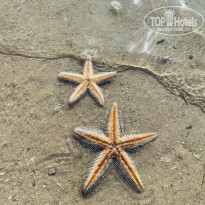 фото из отзыва ID 2677797