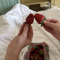 фото из отзыва ID 2677807