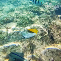 фото из отзыва ID 2677852