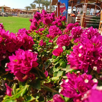 фото из отзыва ID 2677852