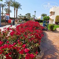 фото из отзыва ID 2677852