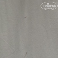 фото из отзыва ID 2677910