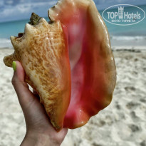 фото из отзыва ID 2677925