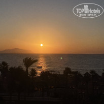 фото из отзыва ID 2677933