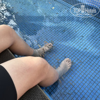 фото из отзыва ID 2677946