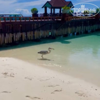 фото из отзыва ID 2677983