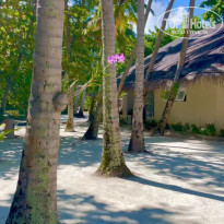 фото из отзыва ID 2677983