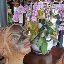 фото из отзыва ID 2677967