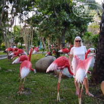 фото из отзыва ID 2677967