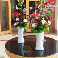 фото из отзыва ID 2678026