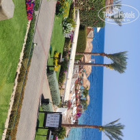 фото из отзыва ID 2678026