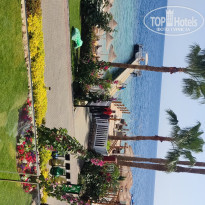 фото из отзыва ID 2678026